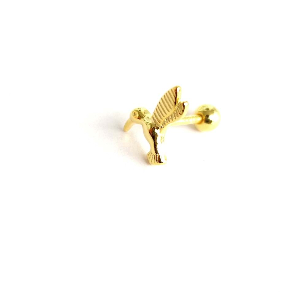 KUŞ GÜMÜŞ TRAGUS PIERCING - ALTIN SARI