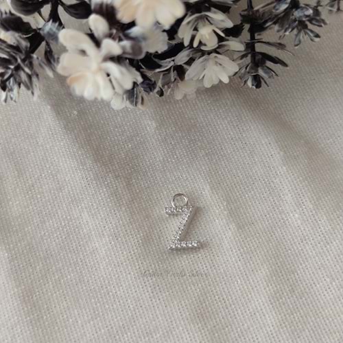 İTHAL TAŞLI HARF ( KOLYE KÜPE BİLEKLİK UCU) - RODYUM KAPLAMA (BEYAZ) - Z HARFİ