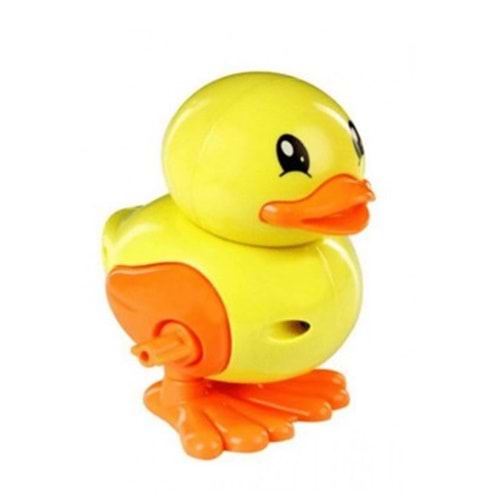 BİRLİK KURMALI ÖRDEK