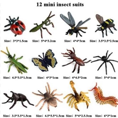 TEKLİ KALİTELİ BÖCEK HAYVANLAR ANIMAL WORLD