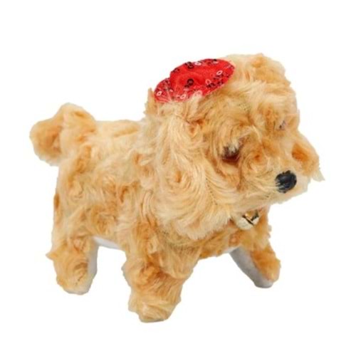 ŞAPKALI PİLLİ KÖPEK PAŞA *140