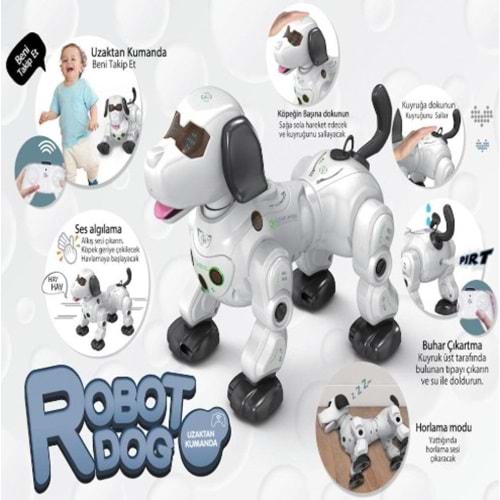 UK ISIKLI VE SESLI AKILLI ROBOT GL-777-602A 8