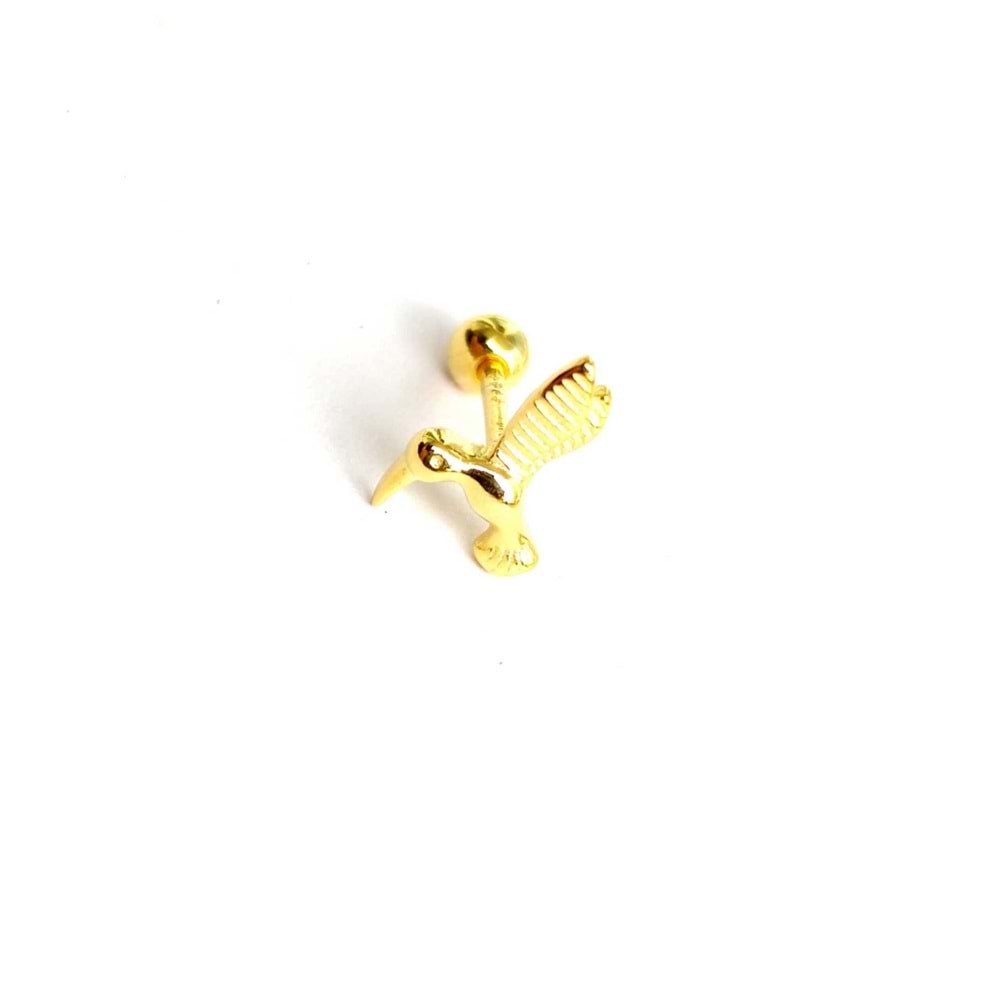 KUŞ GÜMÜŞ TRAGUS PIERCING - ALTIN SARI