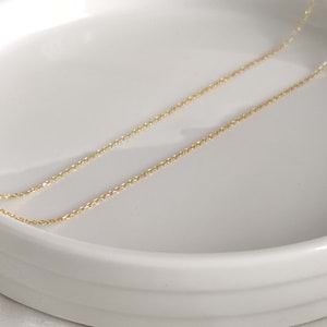 40+5 CM 30 MİKRON FORSE GÜMÜŞ ZİNCİR KOLYE - ALTIN SARI