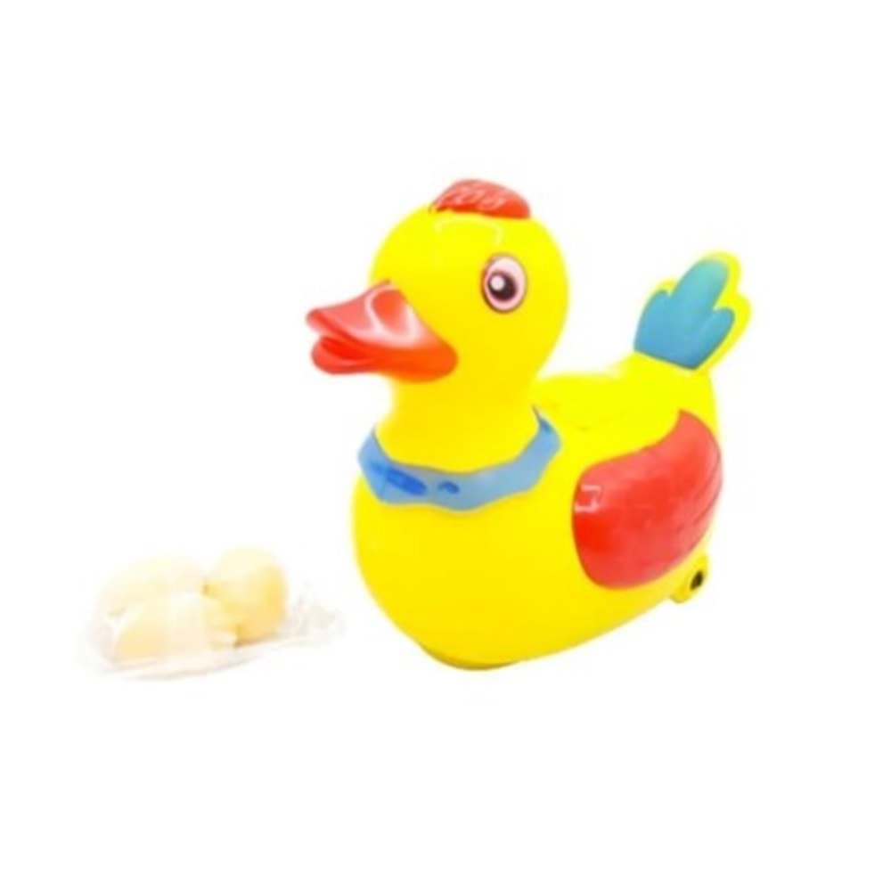 PASİFİK YUMURTLAYAN ÖRDEK 2283
