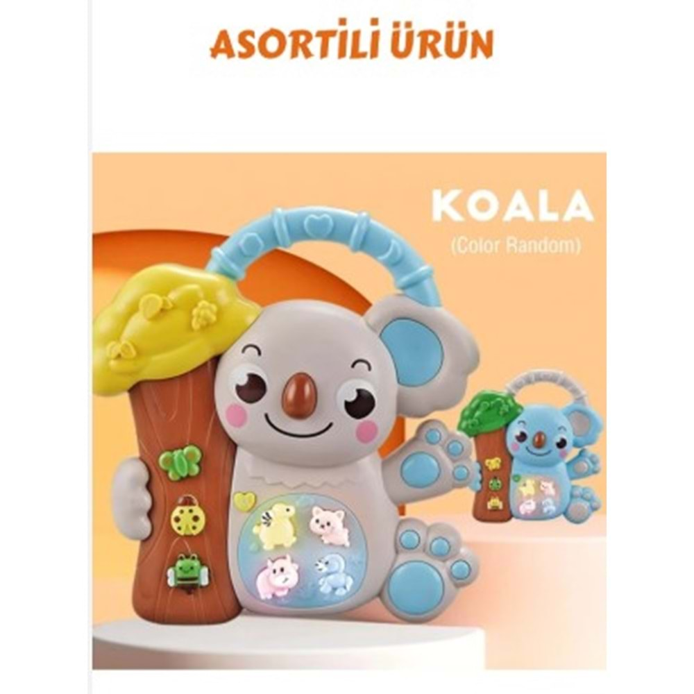 KOALALI PİYANO (8 Lİ BOX) 8808-C *96