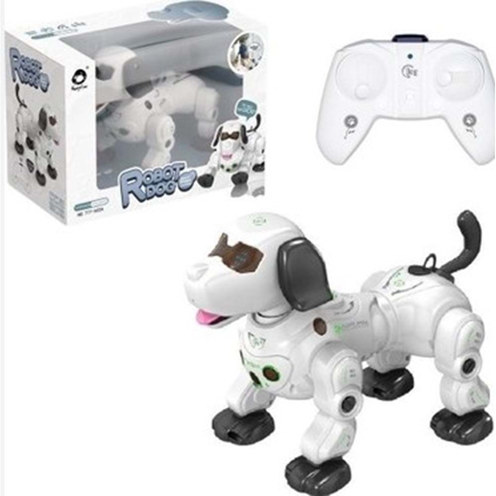 UK ISIKLI VE SESLI AKILLI ROBOT GL-777-602A 8