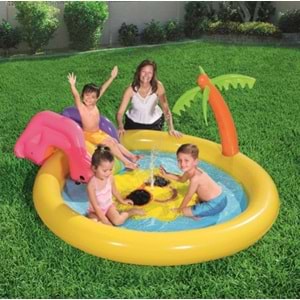 HAVUZ KAYDIRAKLI GÜNEŞLİ 237X201 CM 53071 *3