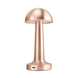 PANTHER PT-700 ROSE USB ŞARJLI MASA LAMBASI (20)
