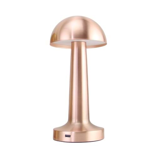 PANTHER PT-700 ROSE USB ŞARJLI MASA LAMBASI (20)